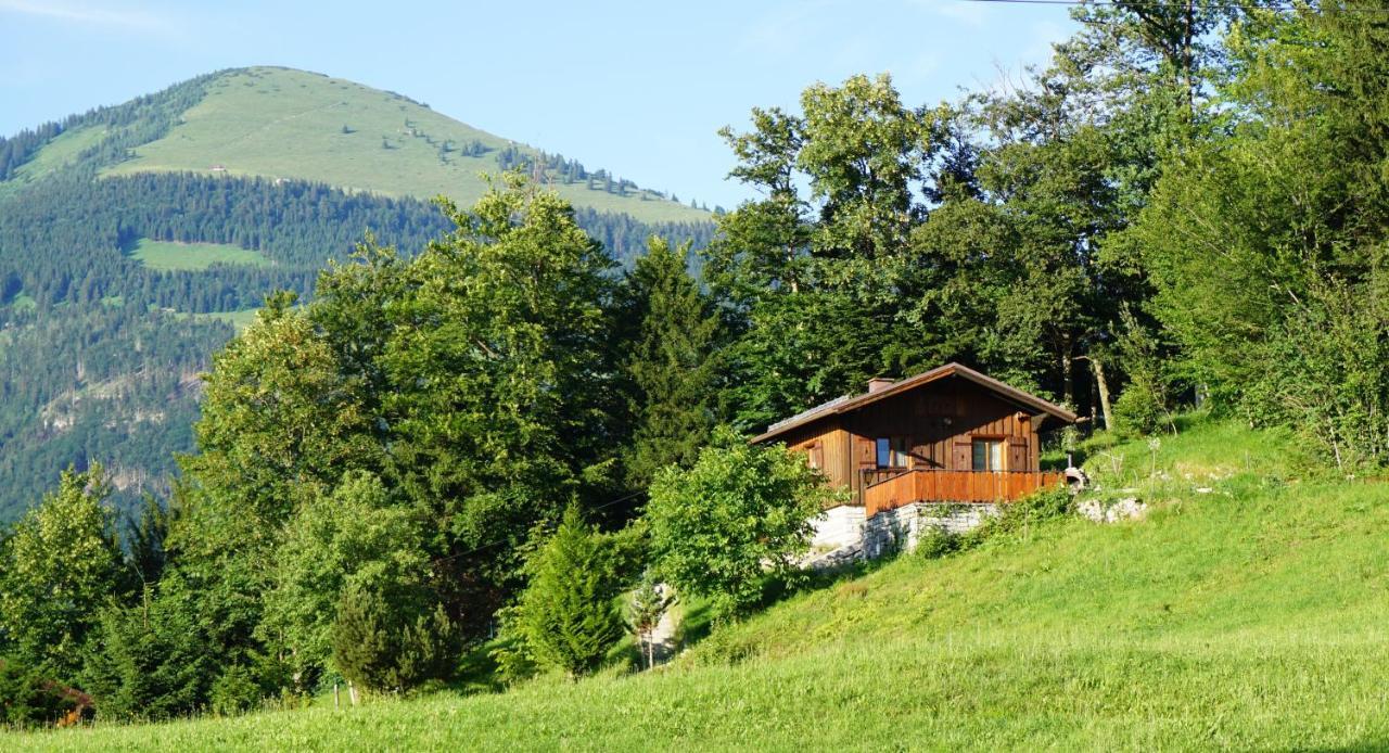 Chalet Katrin Sankt Koloman ภายนอก รูปภาพ