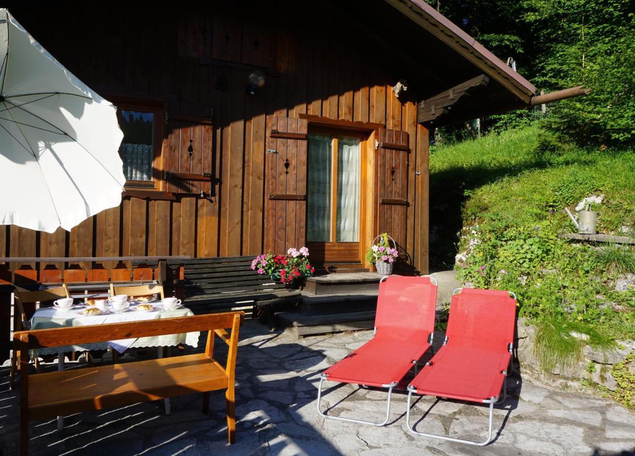 Chalet Katrin Sankt Koloman ภายนอก รูปภาพ