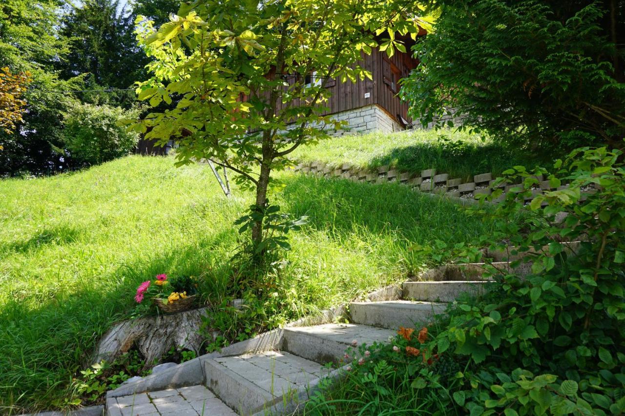 Chalet Katrin Sankt Koloman ภายนอก รูปภาพ