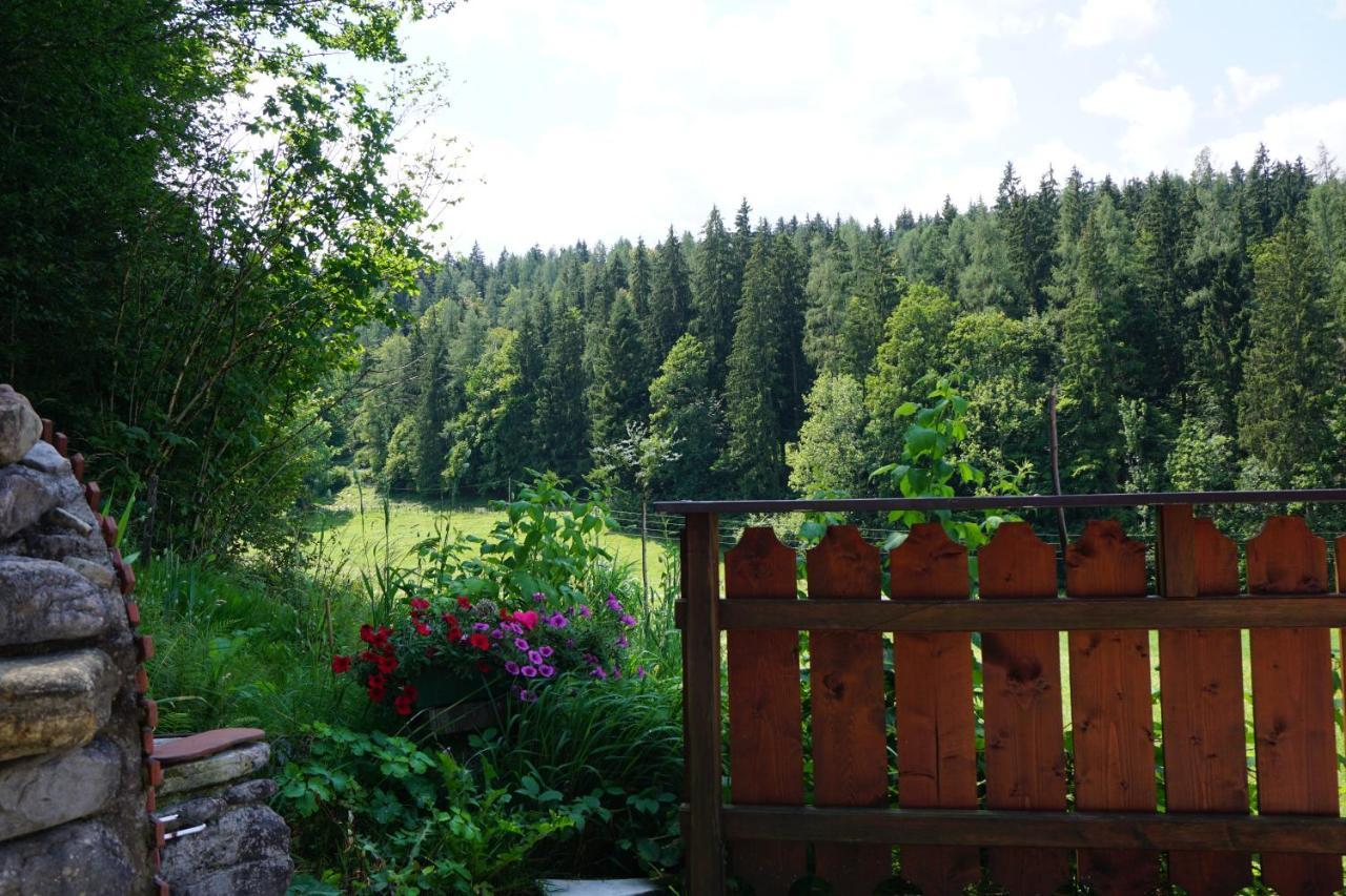 Chalet Katrin Sankt Koloman ภายนอก รูปภาพ