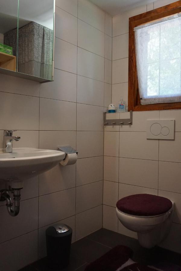 Chalet Katrin Sankt Koloman ภายนอก รูปภาพ